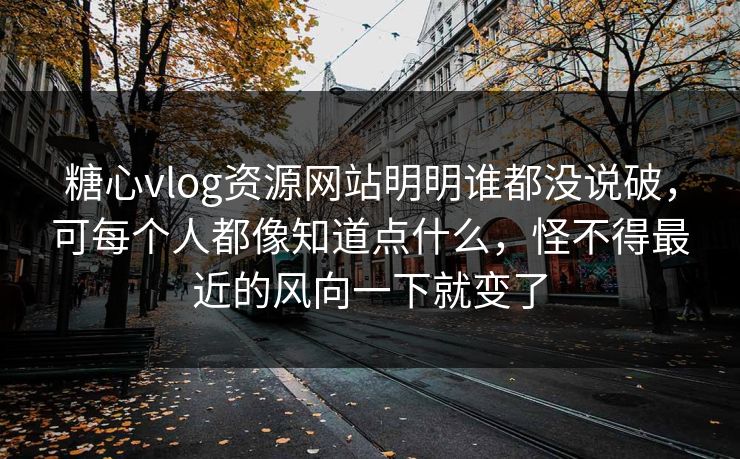糖心vlog资源网站明明谁都没说破，可每个人都像知道点什么，怪不得最近的风向一下就变了