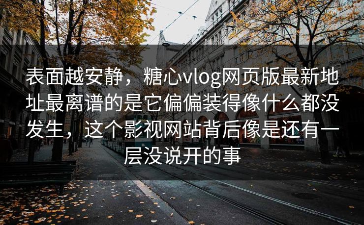 表面越安静，糖心vlog网页版最新地址最离谱的是它偏偏装得像什么都没发生，这个影视网站背后像是还有一层没说开的事
