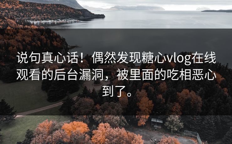 说句真心话！偶然发现糖心vlog在线观看的后台漏洞，被里面的吃相恶心到了。