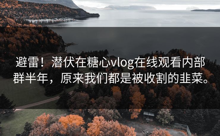 避雷！潜伏在糖心vlog在线观看内部群半年，原来我们都是被收割的韭菜。