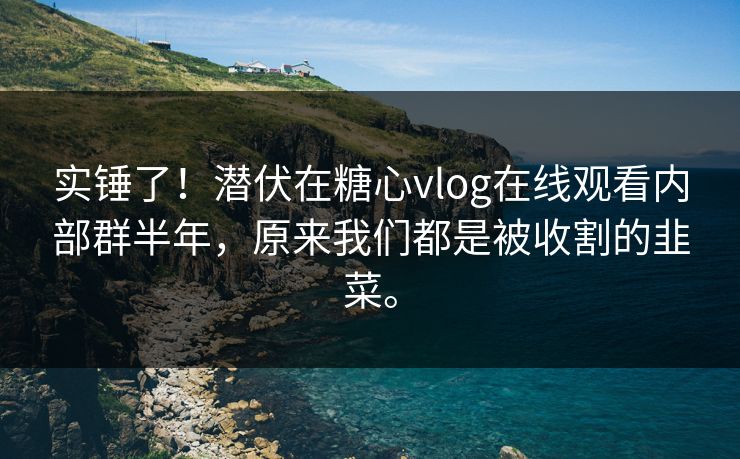 实锤了！潜伏在糖心vlog在线观看内部群半年，原来我们都是被收割的韭菜。